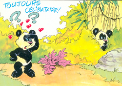 panda couleur